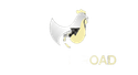 Chicken  Road